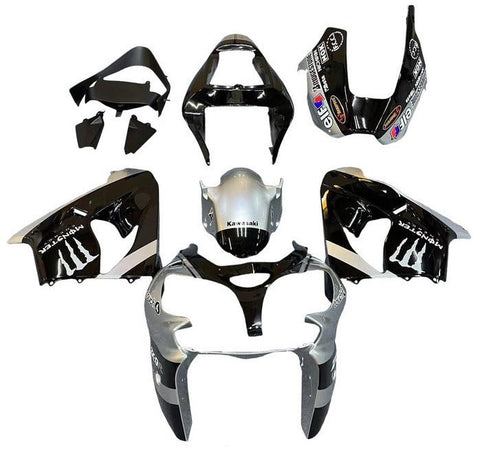 Kawasaki ZX-9R Fairings (2002-2003) Silver, Black, Monster at KingsMotorcycleFairings.com