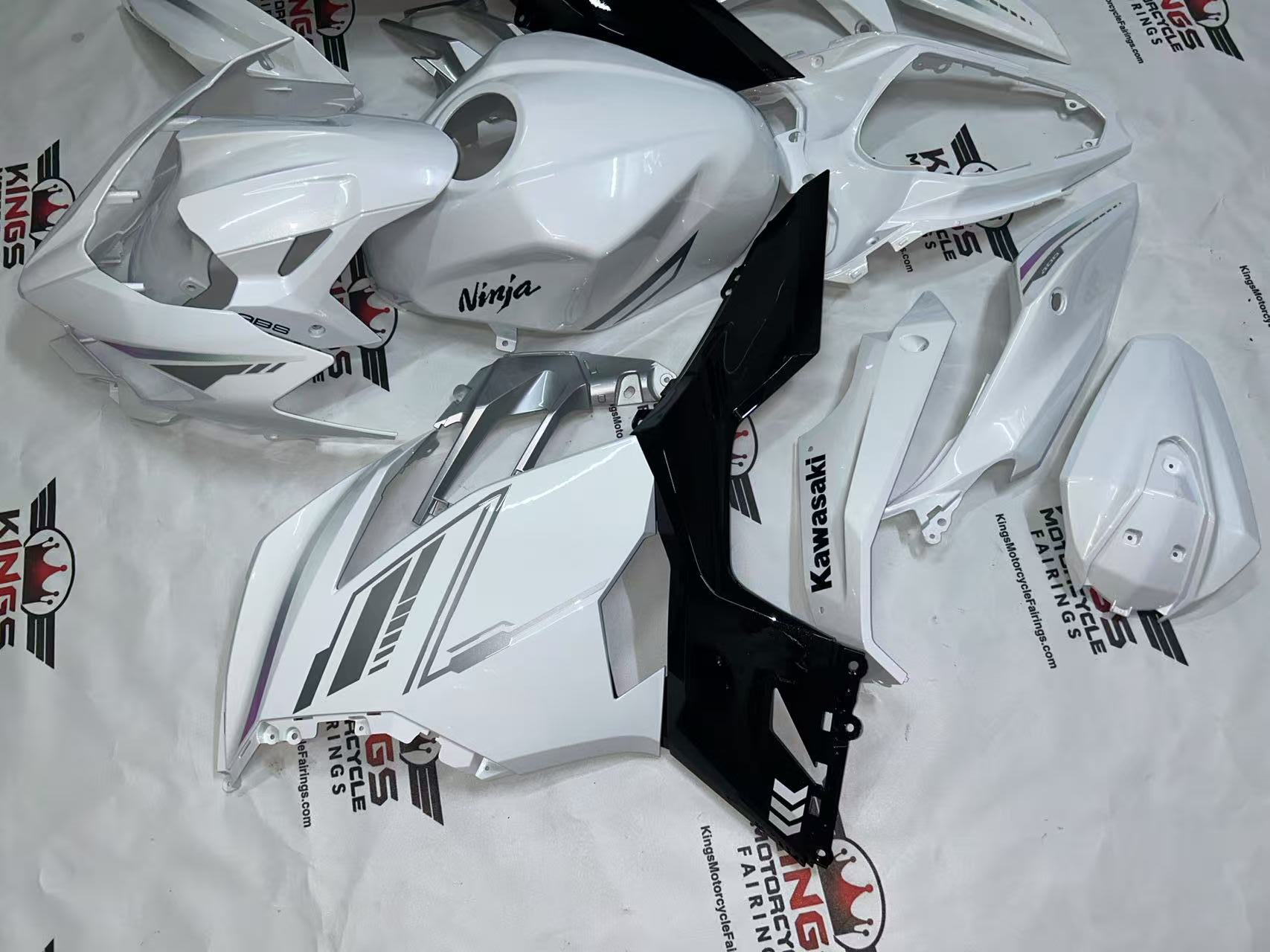 Fairings for Kawasaki Ninja 400 (2018-2023) White, Black, Silver at KingsMotorcycleFairings.com