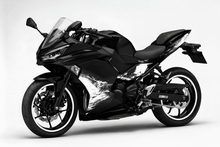 Fairings for Kawasaki Ninja 500 (2024-2025) Black, White Spray at KingsMotorcycleFairings.com