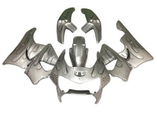 Honda CBR900RR Fairings (1998-1999) Silver Flames at KingsMotorcycleFairings.com