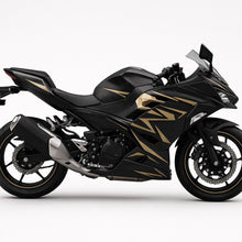 Kawasaki Ninja 400 Fairings (2018-2023) Matte Black, Gold from KingsMotorcycleFairings.com