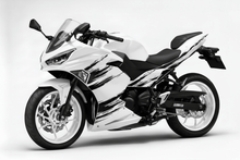 Kawasaki Ninja 500 Fairing Kit (2024-2025) White, Black Brush Strokes at KingsMotorcycleFairings.com