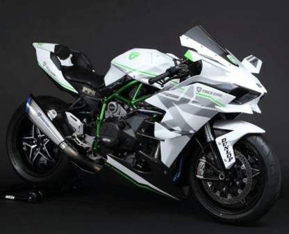 Kawasaki Ninja H2 Fairing kit (2015-2022) White, Silver, Green at KingsMotorcycleFairings.com