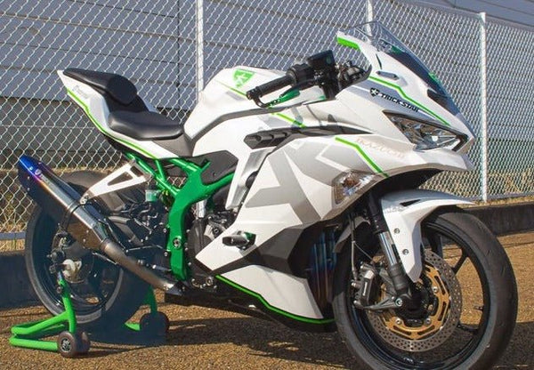 Kawasaki Ninja ZX4R Fairings (2019-2025) White, Silver, Green at KingsMotorcycleFairings.com