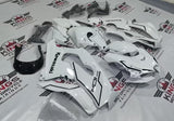 Kawasaki ZX-10R Fairings (2021-2025) White, Black Striping at KingsMotorcycleFairings.com