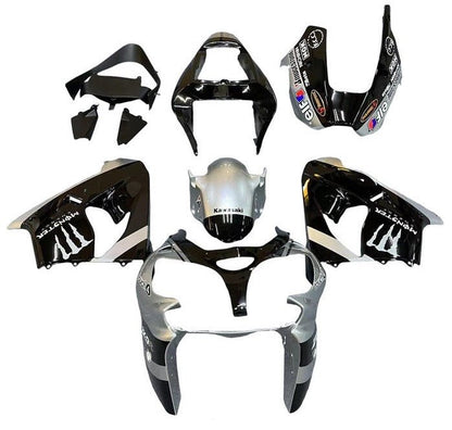 Kawasaki ZX-9R Fairings (2002-2003) Silver, Black, Monster at KingsMotorcycleFairings.com
