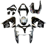 Kawasaki ZX9R Fairings (2002-2003) Silver, Black, Monster at KingsMotorcycleFairings.com
