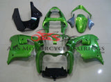 Metallic Green fairing kit for a 2002 and 2003 Kawasaki ZX-9R motorcycle